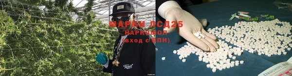 PSILOCYBIN Арсеньев