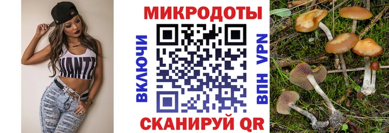 Псилоцибиновые грибы MAGIC MUSHROOMS  как найти наркотики  Новоаннинский 